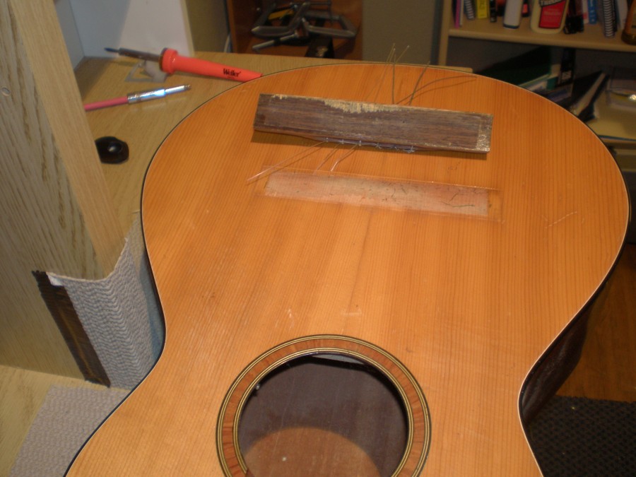 Framus Acoustic Guitar Repair