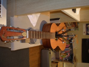 Framus Acoustic Guitar Repair