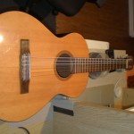 Framus Acoustic Guitar Repair