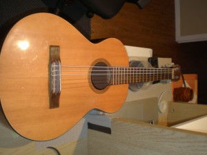 Framus Acoustic Guitar Repair