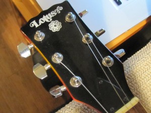 Lotus "Pawn Shop" Les Paul Copy - Setup