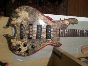 Bass Build in Austin TX